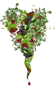 Kräutertrunk mit Aronia Cellin von Energy Life